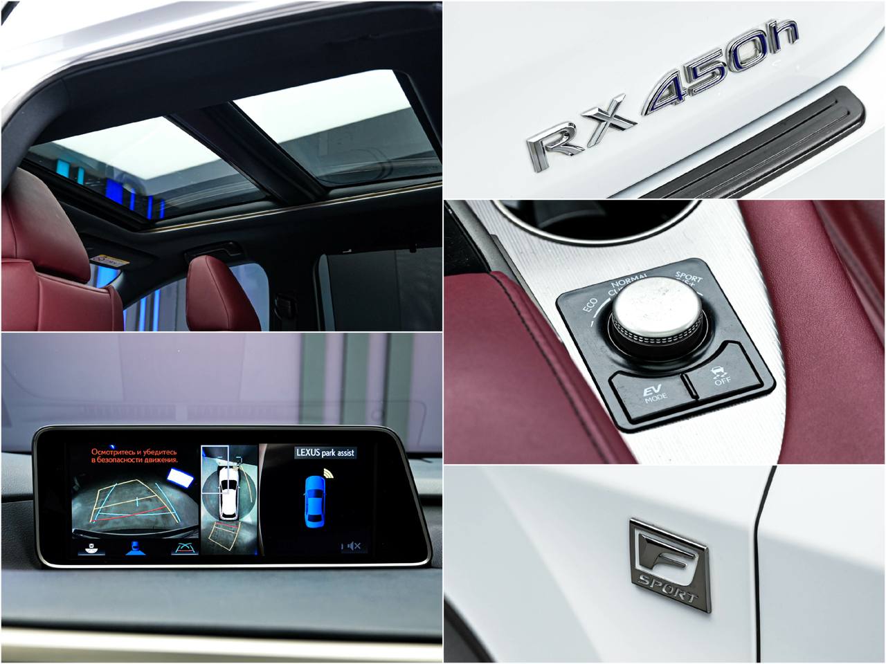 Lexus RX 2016, Hibrid, 214 000 km – foto 13