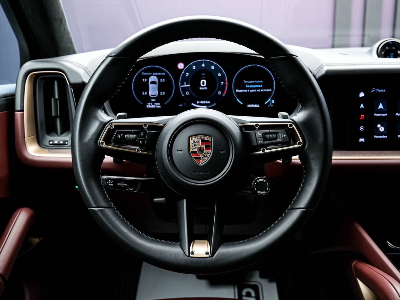 Porsche Cayenne 2024, Benzină, 53 000 km - foto 9